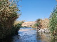 Motorbootsfahrt zum Nubischen Dorf Nagaa Al Mahata... (Salouga und Ghazal Naturschutzgebiet)