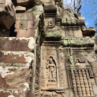 Dschungeltempel Ta Prohm