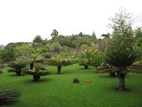 Botanischer Garten
