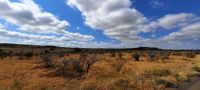 Südafrika -Kruger Nationalpark -  Landschaft
