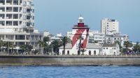 Südafrika - Kapstadt - Cruise mit einem Katamaran