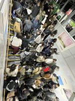 Metro fahren in Tokio