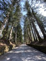 Nikko Nationalpark - Shinto Schrein