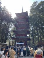Nikko Nationalpark - Shinto Schrein