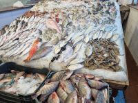 Hurghada - Fischmarkt 