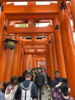 Schreine der 1000 Tore - Fushimi Inari Taisha