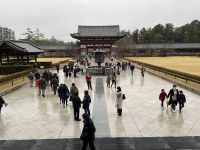Ausflug nach Nara - Todaiji-Tempel 