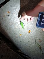 Taman Negara Nationalpark