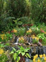 Singapur - Botanischer Garten