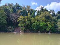 Taman Negara Nationalpark