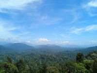 Taman Negara Nationalpark - Wanderung Terisek Hill