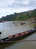 Taman Negara Nationalpark - Jetty