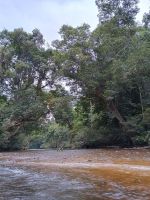 Taman Negara Nationalpark 
