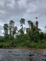 Taman Negara Nationalpark 