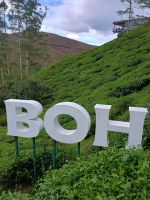 Cameron Highlands - BOH Teeplantage