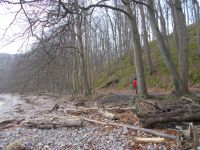 DSCN8577.JPG   in der Granitz