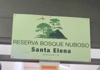 122 Wanderung durch den Nebelwald