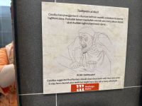 Malta Rabat St. Paulus Katakomben