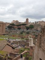 003 Rom, Forum Romanum, dahinter Trajansforum, 18.3.24