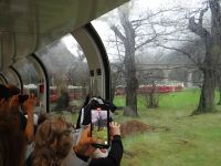 Bernina Express, eben waren wir noch oben, schon sind wir unten und fahren unten durch.