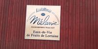 Tag 6 Besuch der Mirabellendestille