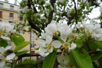 Tag 2, 29.03.2024 Stadtrundfahrt 