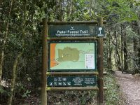 Tsitsikamma: Big Tree