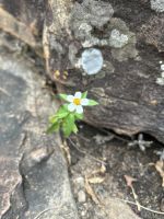 Bourkes Luck Potholes