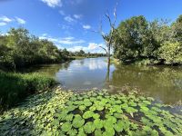 Krüger Nationalpark: Ort der Stille