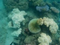 Australien - grenzenloses Fernweh: Blick vom Semi Sub auf das Grat Barrier Reef