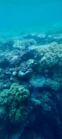Australien - Grenzenloses Fernweh: Blick auf das Great Barrier Reef