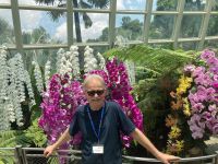 Australien - grenzenloses Fernweh: Singapur  - Im Orchideengarten