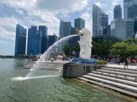 Australien - grenzenloses Fernweh: Singapur  - Merlion, das Wahrzeichen der Stadt