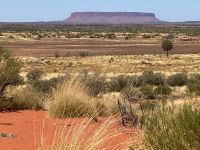 Australien - grenzenloses Fernweh: ein einsamer Tafelberg, der Attila oder Mt. Connor