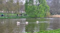 017 – London, St. James’s Park