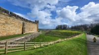 175 – Alnwick Castle