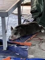 178 Unterwegs im Mekong