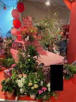 ein holländischer DAF mit Blumen