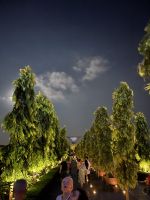 Gardens by the bay