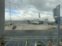 Ankunft in Auckland