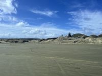 Am 90 Mile Beach