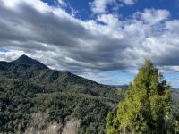 Fotostopp mit Blick auf den Coromandel Forest Park
