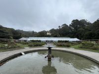 Botanischer garten von Wellington