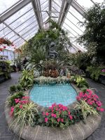 Botanischer garten von Wellington