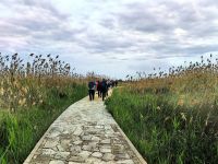 Wir wandern im Naturschutzgebiet Vendicai