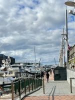 Auckland waterfront