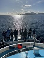 gegen die Sonne - das Ziel am Horizont