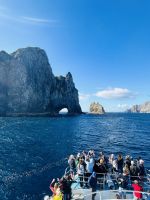 Alle sind gespannt! Fahren wir da wirklich durch?? 