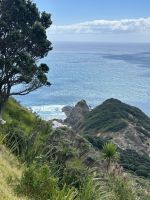 ist das der Maori-Zugang zur Unterwelt? 