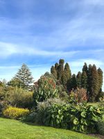 Blumenpracht im Kurpark